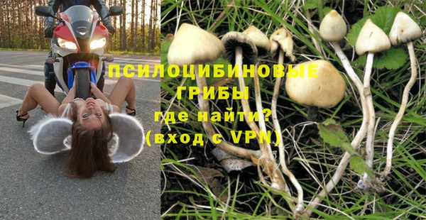 гашишное масло Михайлов