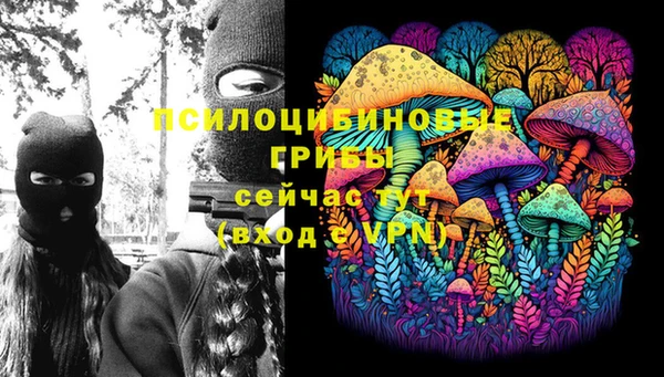 MESCALINE Надым