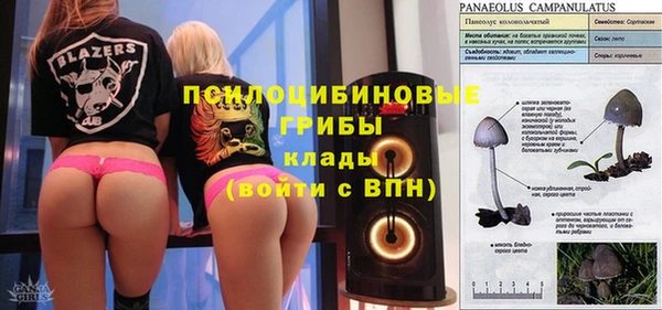 гидра Навашино