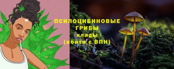 гидра Навашино