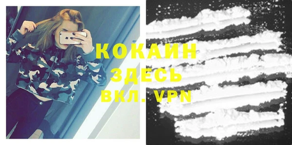дживик Михайловск